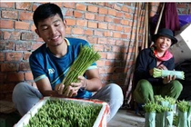 Cất bằng kinh doanh quốc tế, 9X về làng trồng rau, kiếm tiền tỷ