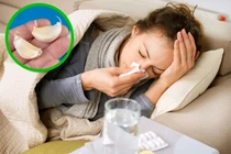 10 loại gia vị và thảo mộc như “thần dược” chăm sóc sức khỏe từ đầu đến chân