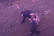 Lạc trong rừng rậm 5 ngày, người phụ nữ may mắn được cứu