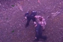 Lạc trong rừng rậm 5 ngày, người phụ nữ may mắn được cứu