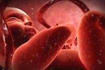 Sốc: Bé 1 tháng tuổi đã mắc giang mai... nguyên nhân, cách phòng ngừa?