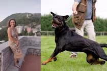 Cố cho chó ăn, người phụ nữ bị tấn công dã man