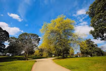 Bị vợ bắt tại trận ngoại tình, chồng nói lời cay nghiệt ngay cửa khách sạn