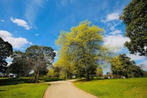 Bị vợ bắt tại trận ngoại tình, chồng nói lời cay nghiệt ngay cửa khách sạn