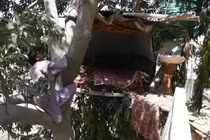 Người mệnh danh là Tarzan vì sống tạm bợ trên cây suốt 8 năm