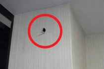 Nghe âm thanh lạ từ bức tường, chủ nhà kinh ngạc khi biết sự thật