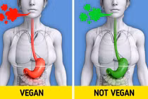 10 điều xảy ra trong cơ thể khi chúng ta ăn chay trường