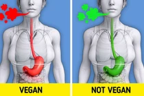 10 điều xảy ra trong cơ thể khi chúng ta ăn chay trường