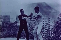 Những bậc thầy đưa tên tuổi Lý Tiểu Long lên huyền thoại