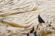 Kinh ngạc hiện tượng “mỡ băng” kỳ lạ ở Nga