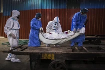 COVID-19 tới 6h sáng 24/8: Ấn Độ trên 60.000 ca nhiễm/ngày, gấp đôi Mỹ