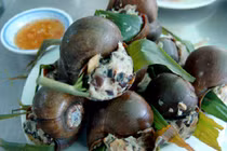 Cách làm ốc nhồi thịt hấp lá gừng thơm ngon cực “đưa cơm“