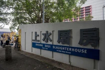 Người đàn ông tử vong trong lò mổ vì bị lợn tấn công