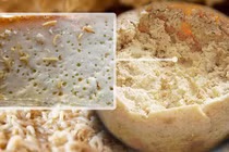 Sự thật về món phô mai lúc nhúc giòi khiến nhiều người “khóc thét”