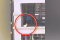 Nghẹt thở xem giải cứu em bé kẹt đầu ở lan can tầng 7