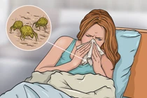 Những điều tồi tệ gì xảy ra khi bạn không giặt chăn gối ngủ