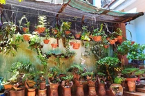 Nhặt thứ vứt đi, tưởng rác hóa ra là mỏ vàng