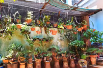 Nhặt thứ vứt đi, tưởng rác hóa ra là mỏ vàng