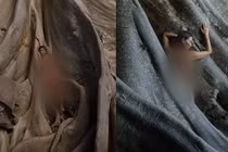 Tạo dáng phản cảm bên đền thiêng, 3 du khách bị bắt giữ