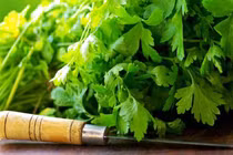 Thảo dược khắc phục tóc khô và hư tổn