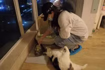 Kiếm 2 triệu mỗi ngày nhờ việc chăm sóc thú cưng tại nhà