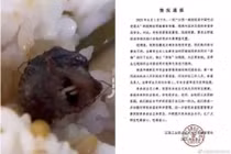 Dị vật gây tranh cãi trong suất ăn của học sinh Trung Quốc