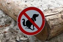 Bị phạt 13 triệu đồng vì để vật nuôi đại tiện lung tung