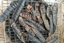 Đốt bồ kết xông nhà để diệt khuẩn có phòng ngừa được virus corona?