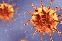 Các ca COVID-19 từ Campuchia đều mang biến thể, nguy cơ đợt dịch thứ 4 hiện hữu