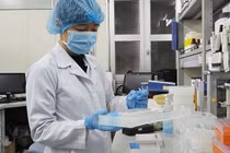 Virus corona chủng mới ở Đà Nẵng: “Họ hàng” của chủng ở Bắc Kinh?