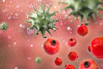 Những điều xảy ra với cơ thể khi bạn ăn một quả lựu mỗi ngày