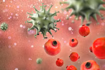 Những điều xảy ra với cơ thể khi bạn ăn một quả lựu mỗi ngày