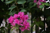 ‘Họp lớp chỉ là sàn diễn để khoe của, khoe con’