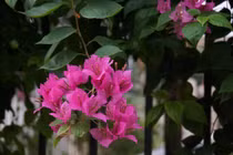 ‘Họp lớp chỉ là sàn diễn để khoe của, khoe con’