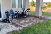 Mỹ: Côn trùng dày đặc khắp nơi khiến người dân khiếp sợ