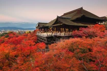 Chiêm ngưỡng 10 ngôi chùa cổ kính đẹp nhất Nhật Bản