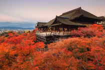 Chiêm ngưỡng 10 ngôi chùa cổ kính đẹp nhất Nhật Bản