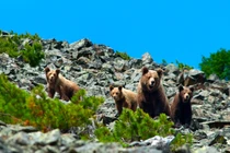 Hình ảnh thú vị về khu bảo tồn thiên nhiên hoang dã của Nga