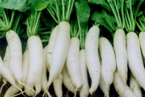 Những thực phẩm tốt cho mùa lạnh