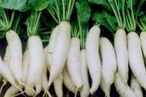 Những thực phẩm tốt cho mùa lạnh