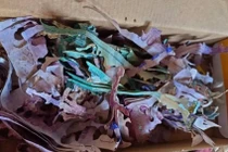 Cất tiền tiết kiệm trong hộp bánh, cụ bà Malaysia mất trắng 150 triệu