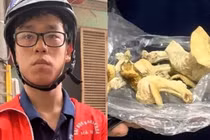 Nấm thức thần khiến sinh viên Bách Khoa bị khởi tố... nguy hại “chết người”?