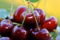 Những loại quả siêu tốt cho người bị tiểu đường