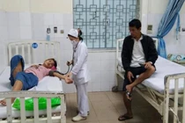 8 người cùng nhà ngộ độc do ăn nấm lạ: Cách xử trí và phòng tránh 