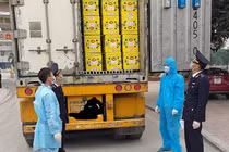 Hải quan TP HCM xây dựng nhiều kịch bản chống dịch Covid-19