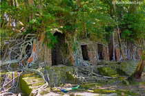 Lạnh gáy trước khung cảnh trên đảo “ma” giữa Ấn Độ Dương