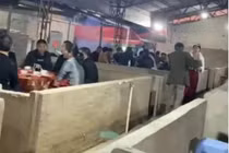 Choáng với đám cưới được cô dâu tổ chức... trong chuồng lợn