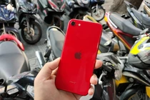iPhone SE 2020 vừa về Việt Nam đã giảm giá sốc