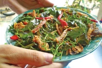 Món gỏi sầu đâu nổi tiếng của người An Giang có gì đặc biệt?