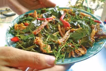 Món gỏi sầu đâu nổi tiếng của người An Giang có gì đặc biệt?